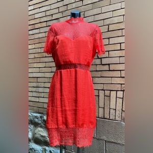 NWT ASOS Orange Lace Statement Dress Size 10